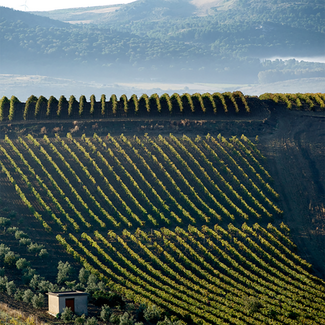 Impari Nero D'Avola Terre Siciliane 2021 0.75 l