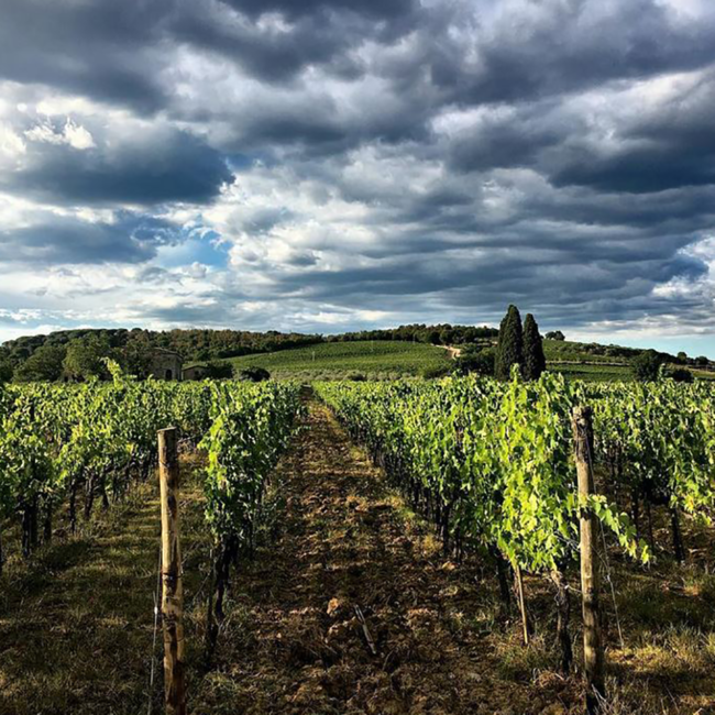 Chianti Classico Berardenga DOCG 2021 0.75 l