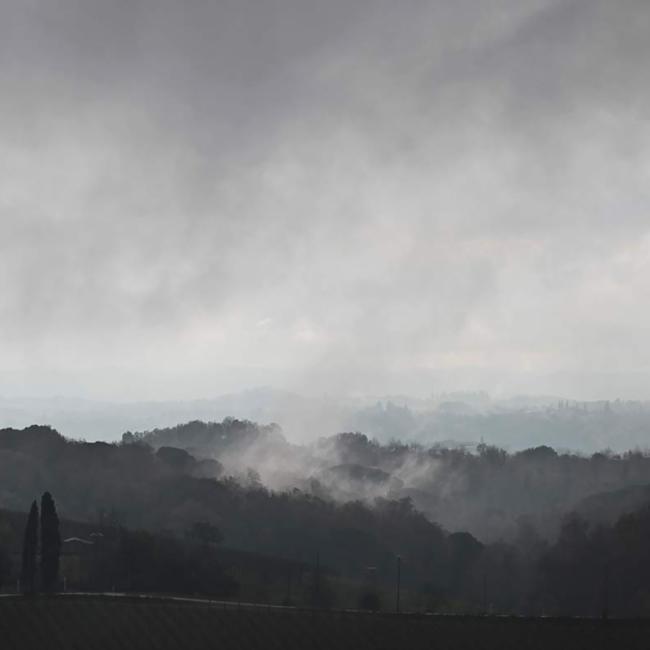 Chianti Classico Berardenga DOCG 2022 Halbflasche 0.375 l