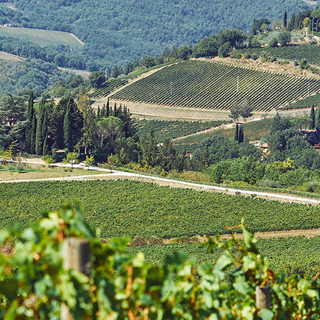 Carla 6 Toscana IGP 2019 0.75 l