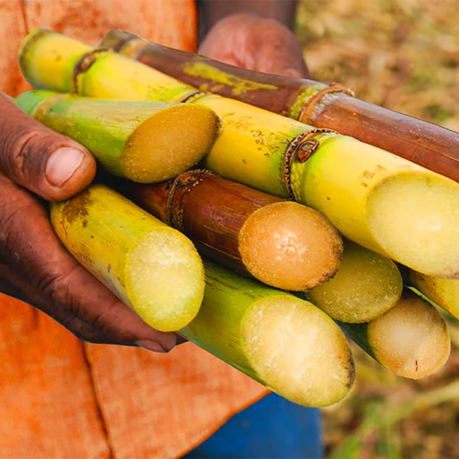 Rhum Vieux Agricole 2018 0.7 l 45% vol