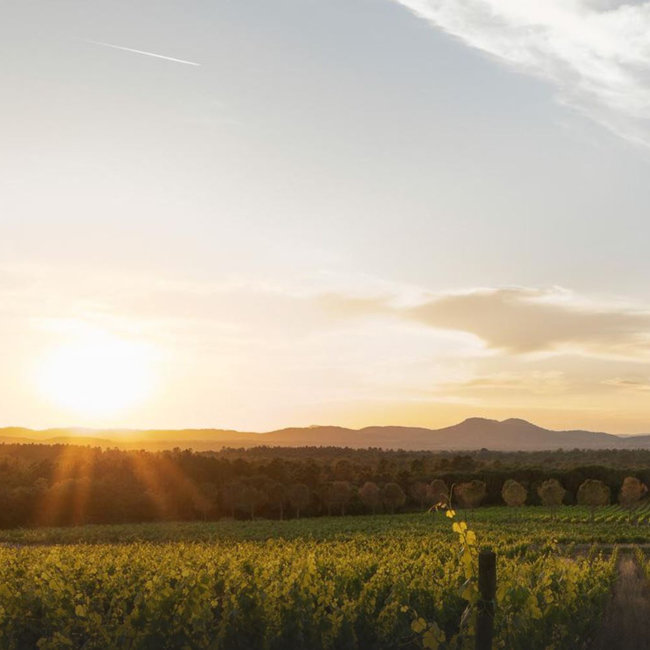 UP Rose Cotes de Provence 2025 Jeroboam 3.00 l