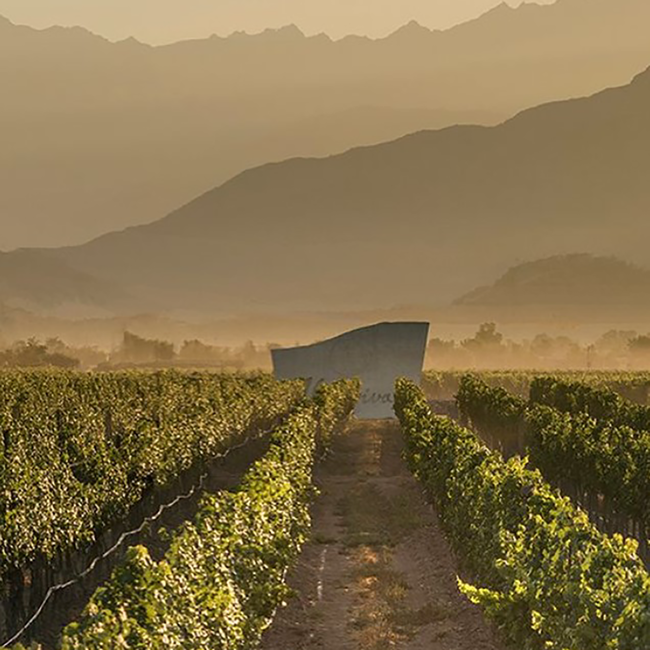 Almaviva in OHK 2020 0.75 l