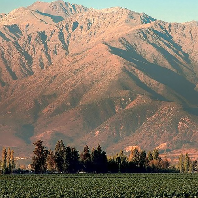 Almaviva in OHK 2022 0.75 l