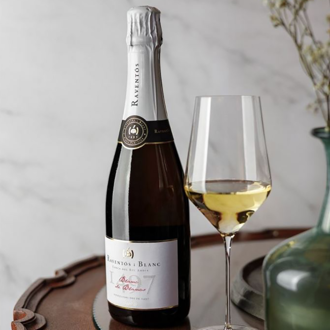 Conca del Riu Anoia Blanc de Blanc Brut Cava BIO 2022 0.75 l 12% vol