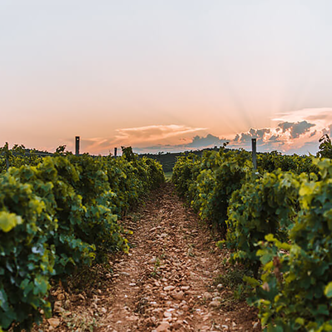 Heritage An 825 Cremant de Limoux Brut Rosé 2020 0.75 l 12% vol