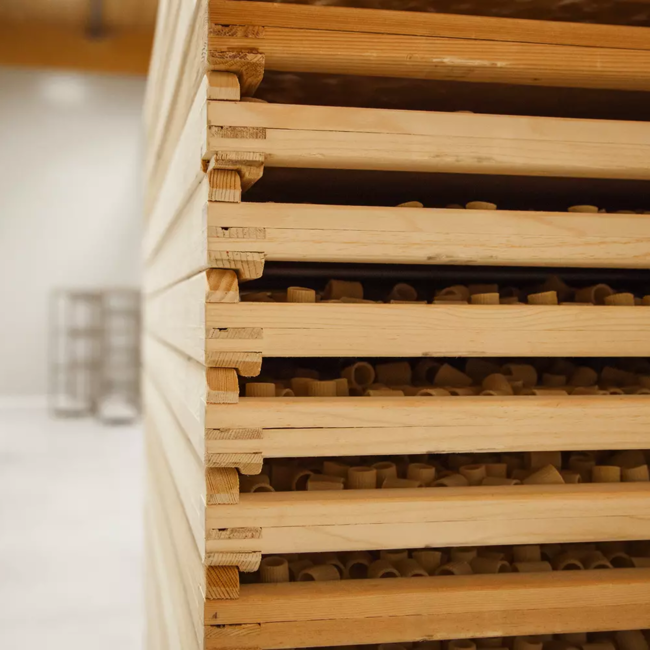 Maccheroni Hartweizennudeln (500g)