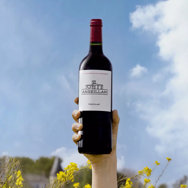 Chateau Anseillan Pauillac 2021 0.75 l