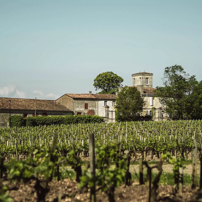 Chateau Anseillan Pauillac 2021 0.75 l