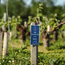 Chateau Anseillan Pauillac 2021 0.75 l