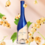 281 Rosé Côtes de Provence AOP 2022 Magnum 1,5 l