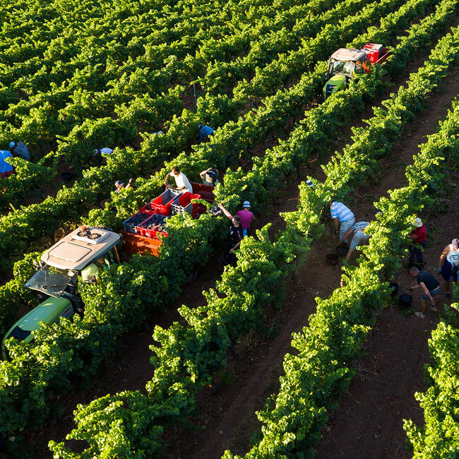 Prestige Rose Cotes de Provence AOC 2024 0.75 l