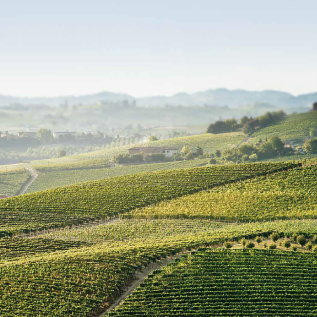 Scavi & Ray Prosecco Spumante DOC Illuminated Bottle Luminous Edition 0.75 l 11% vol