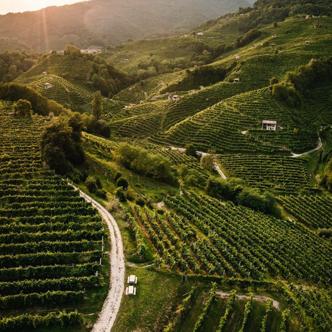 Prosecco Superiore Valdobbiadene DOCG Brut 0.75 l 11.50% vol