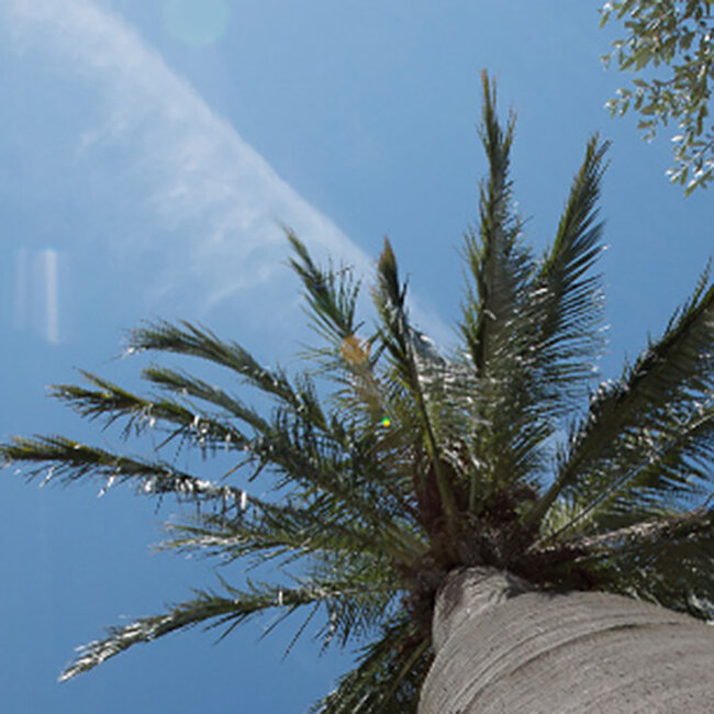 Clos Mireille Rose Cotes de Provence 2024 0.75 l