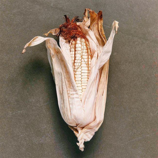 Nixta Licor de Elote Maislikör 0.7 l 30% vol