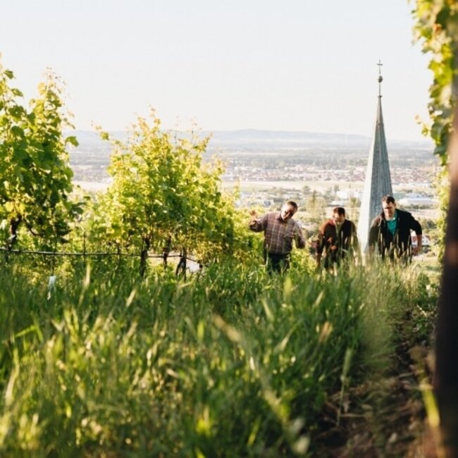 Pinot Noir Ried Holzspur BIO 2017 0.75 l