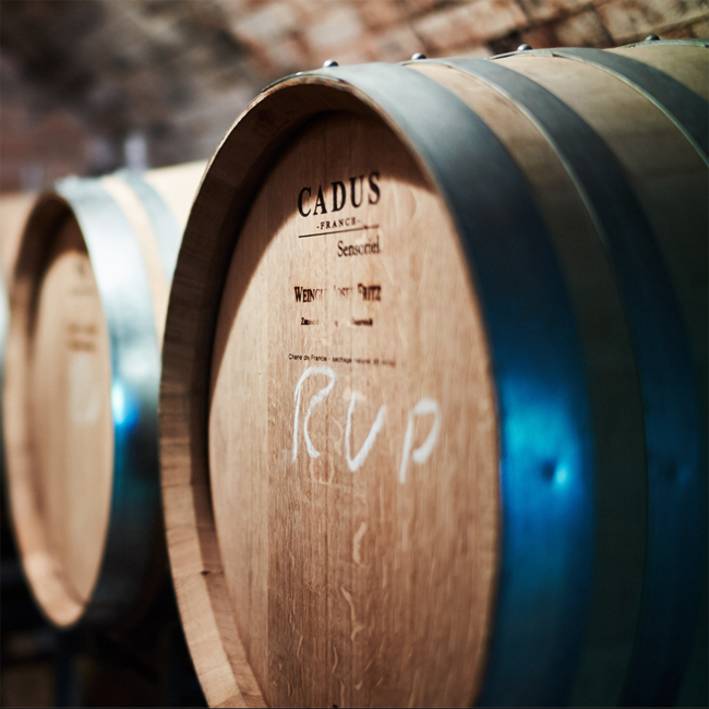 Roter Veltliner Ried Mordthal 1ÖTW 2023 0.75 l