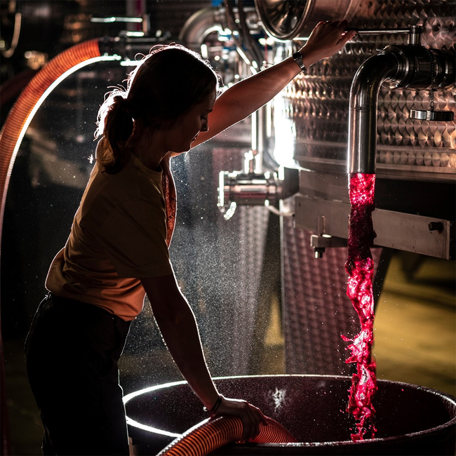 Argentiera Bolgheri DOC Superiore 2021 0.75 l