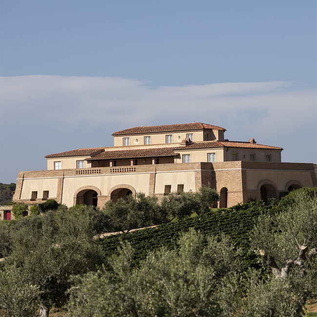 Argentiera Ventaglio Toscana IGT in OHK 2016/18 0.75 l