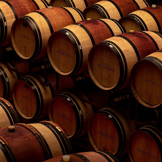 Argentiera Ventaglio Toscana IGT in OHK 2016/18 0.75 l