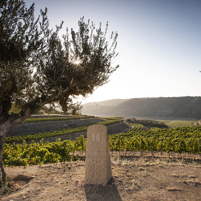 Rioja Blanco DOCa 2022 0.75 l