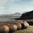 Bunnahabhain 25 Years Old Islay Single Malt Scotch Whisky 0.7 l 46.30% vol