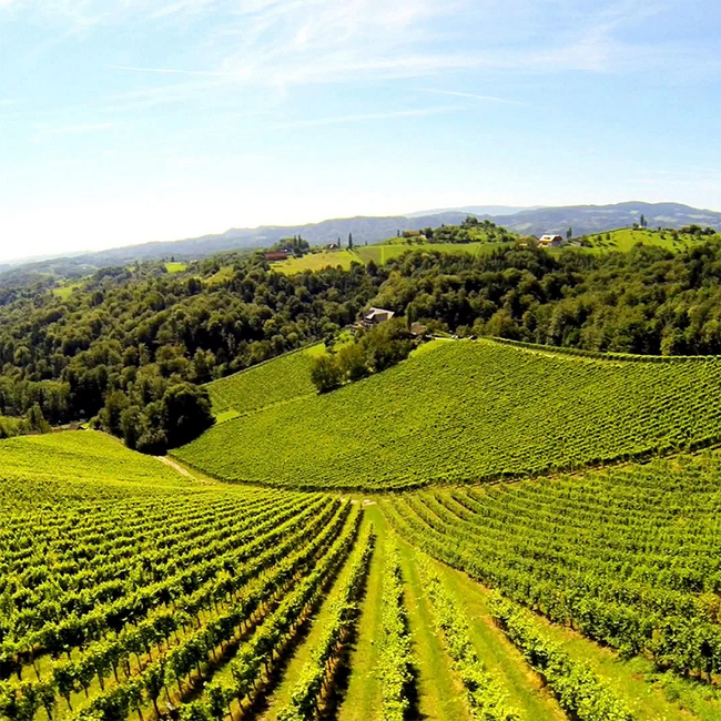 Ried Kranachberg Sauvignon Blanc DAC 2022 0.75 l