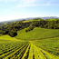Weißburgunder Südsteiermark DAC 2025 0.75 l