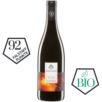 Gesellmann / Mittelburgenland, Deutschkreutz Pinot Noir Ried Siglos 2020 0.75 l