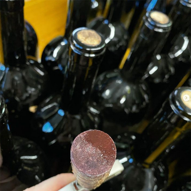 Pinot Noir Ried Siglos 2022 0.75 l