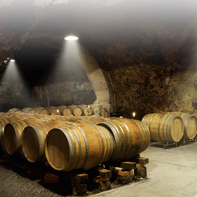 Grüner Veltliner Urgestein Kamptal DAC BIO 2024 0.75