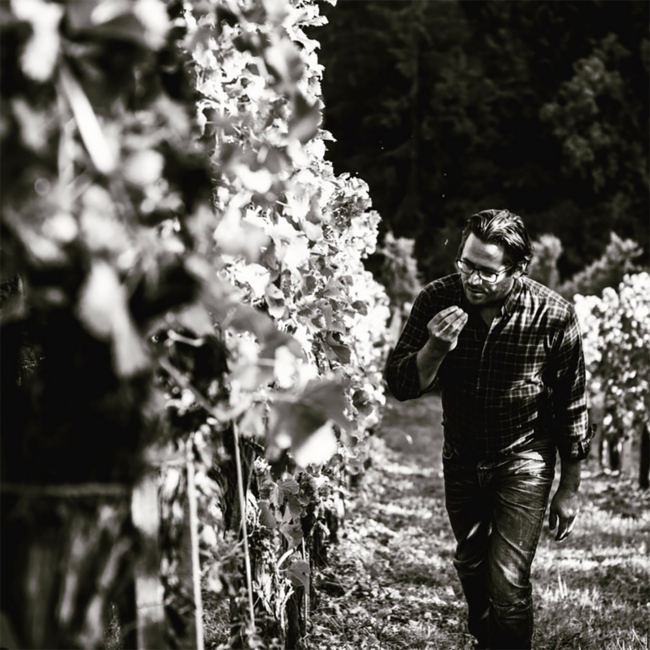 Chardonnay Gamlitz  Südsteiermark DAC 2021 0.75 l