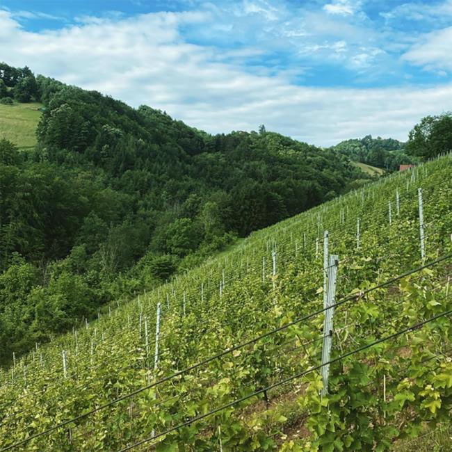 Chardonnay Gamlitz  Südsteiermark DAC 2021 0.75 l