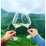 Welschriesling Südsteiermark DAC 2024 0.75 l