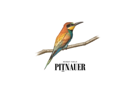 Pitnauer / Österreich, Carnuntum, Göttlesbrunn