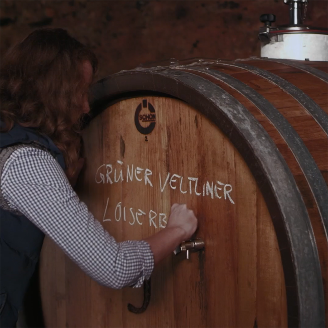 Grüner Veltliner Urgestein Kamptal DAC BIO 2025 0.75