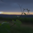 Riesling Platin BIO 2024 0.75