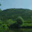 Grüner Veltliner GrüVe 2025 0.75 l