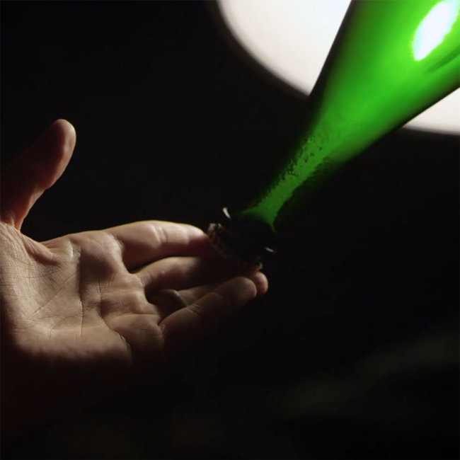 Grüner Veltliner Urgestein Kamptal DAC BIO 2025 0.75