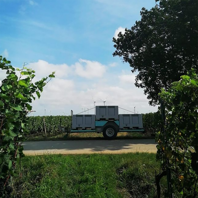 Blauer Zweigelt 2022 0.75 l