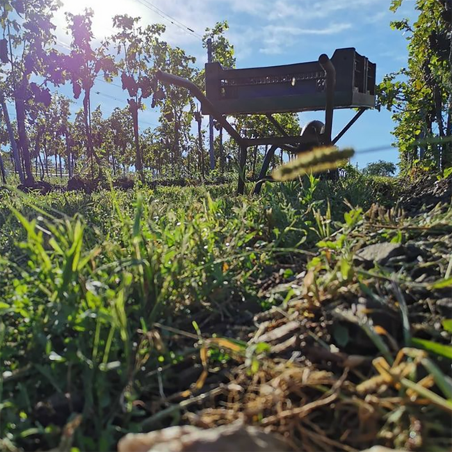 Kalk & Schiefer Cuvee (WB/GV) 2023 0.75 l