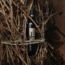 F Negroamaro Salento IGP 2021 0.75 l