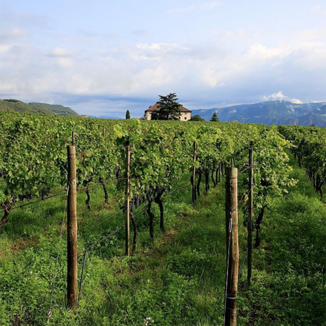 Cabernet Riserva Alto Adige DOC 2021 0.75 l