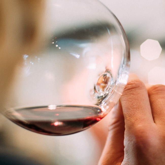 Pinot Noir Tradition Alto Adige DOC 2022 0.75 l