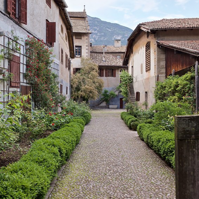 Pinot Noir Tradition Alto Adige DOC 2022 0.75 l