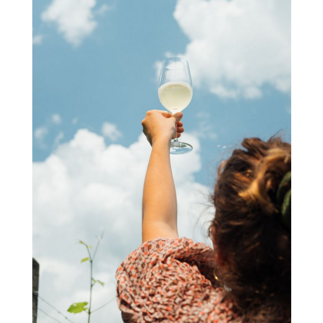 Gaun Chardonnay Dolomiti IGT 2023 0.75 l