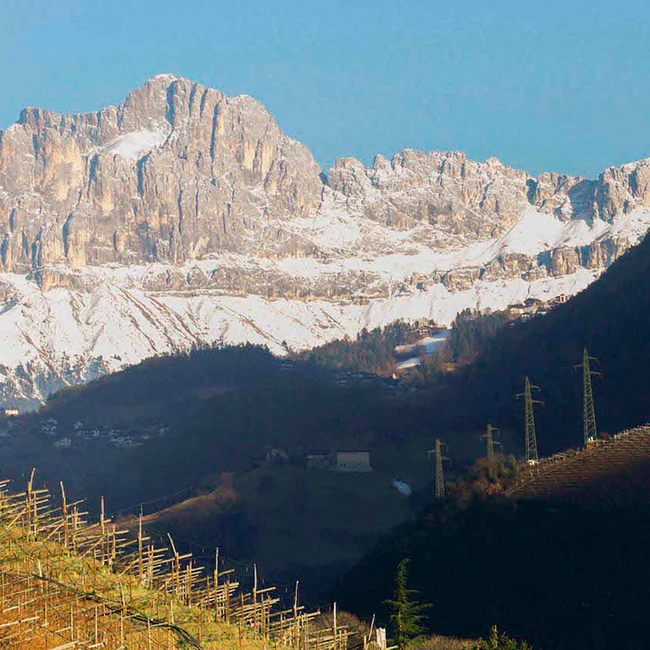 Gaun Chardonnay Dolomiti IGT 2023 0.75 l