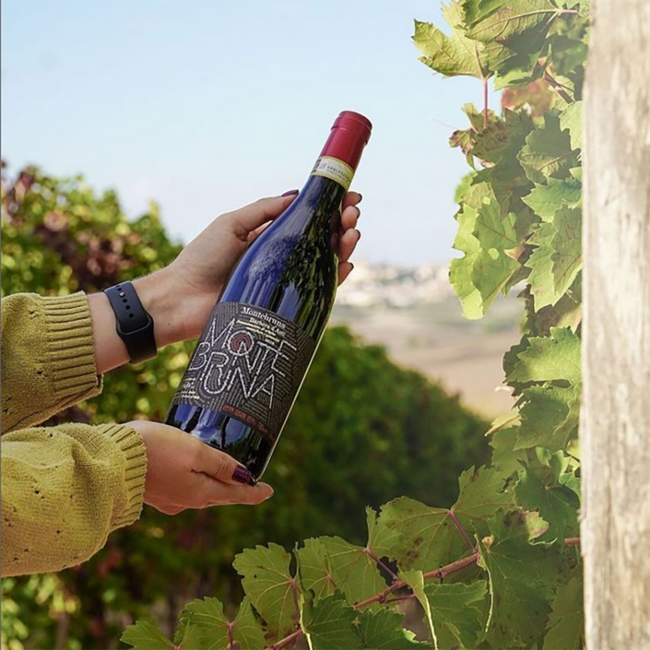 Montebruna Barbera d'Asti DOCG 2022 0.75 l