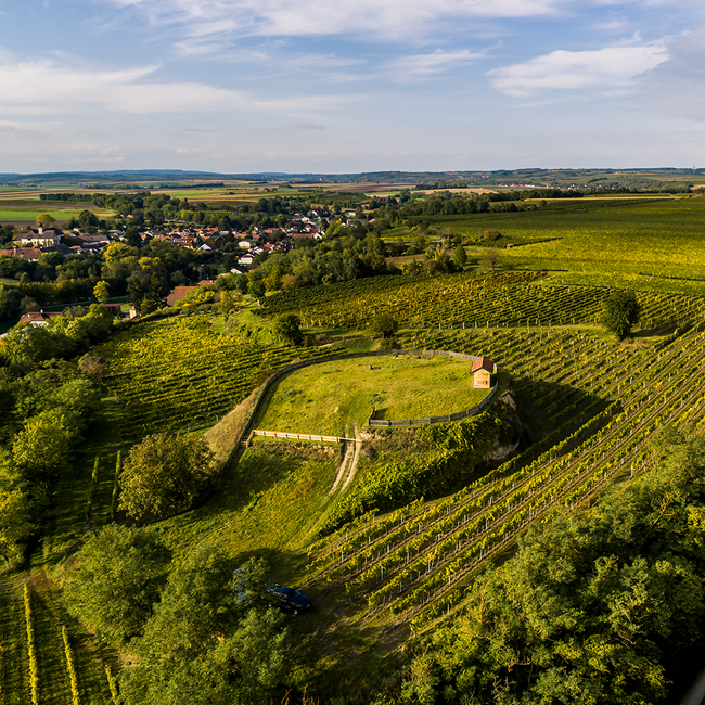 Ruppersthal Pinot Noir 2023 0.75 l